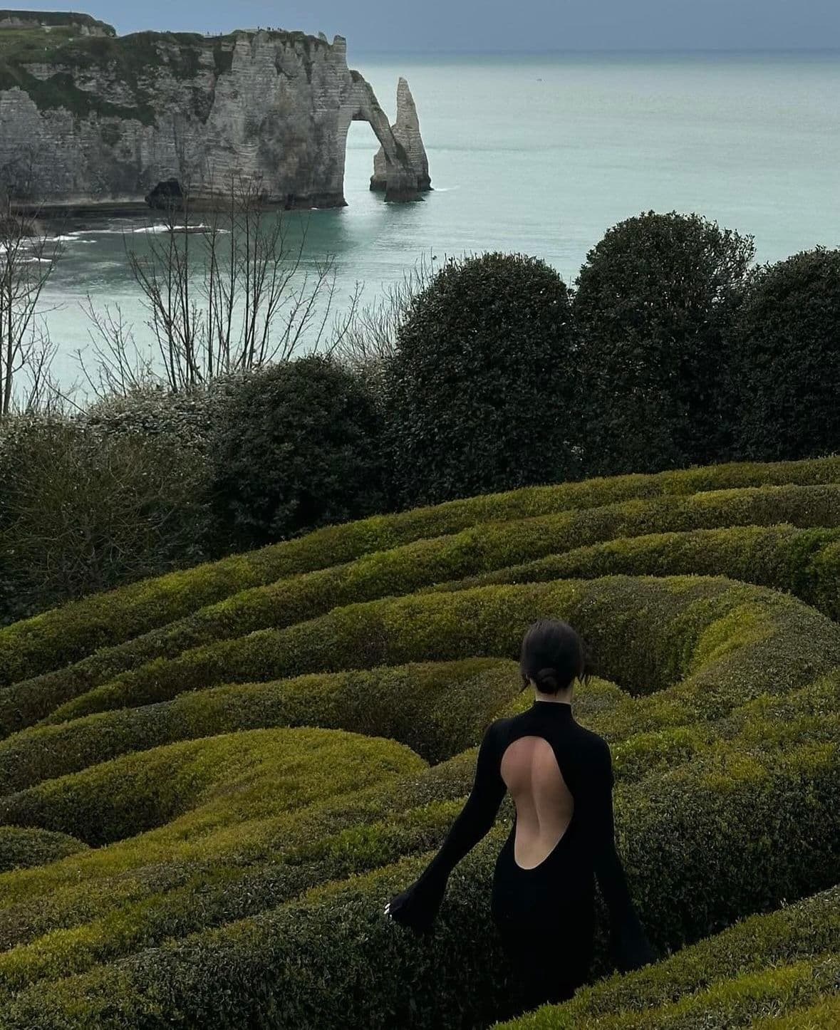 Forest Bathing (Shinrin-Yoku)